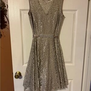 Cache Shimmering Lace Mini Dress in Silver